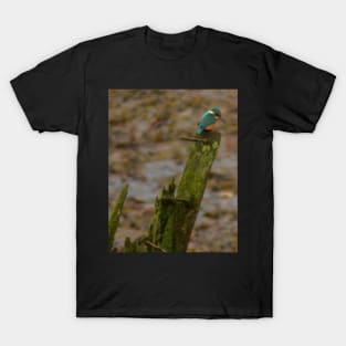 KING OF THE RIVER T-Shirt